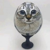 Иконка канала TVшкаМЕН