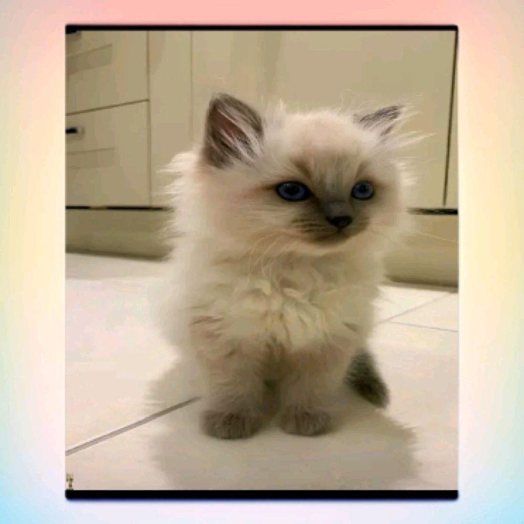 Иконка канала Салатик34