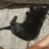 Иконка канала ❤️EVA.KAT.(8)❤️@*&:)❤️🐕🐕🐈🐈⊙⁠﹏⁠⊙