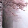 Иконка канала channel49055659
