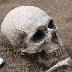 Иконка канала Экспедиция на Алтай