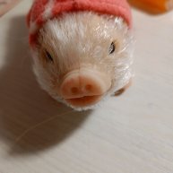 Иконка канала 🦔🦋💖Sonyk💖🦋🦔