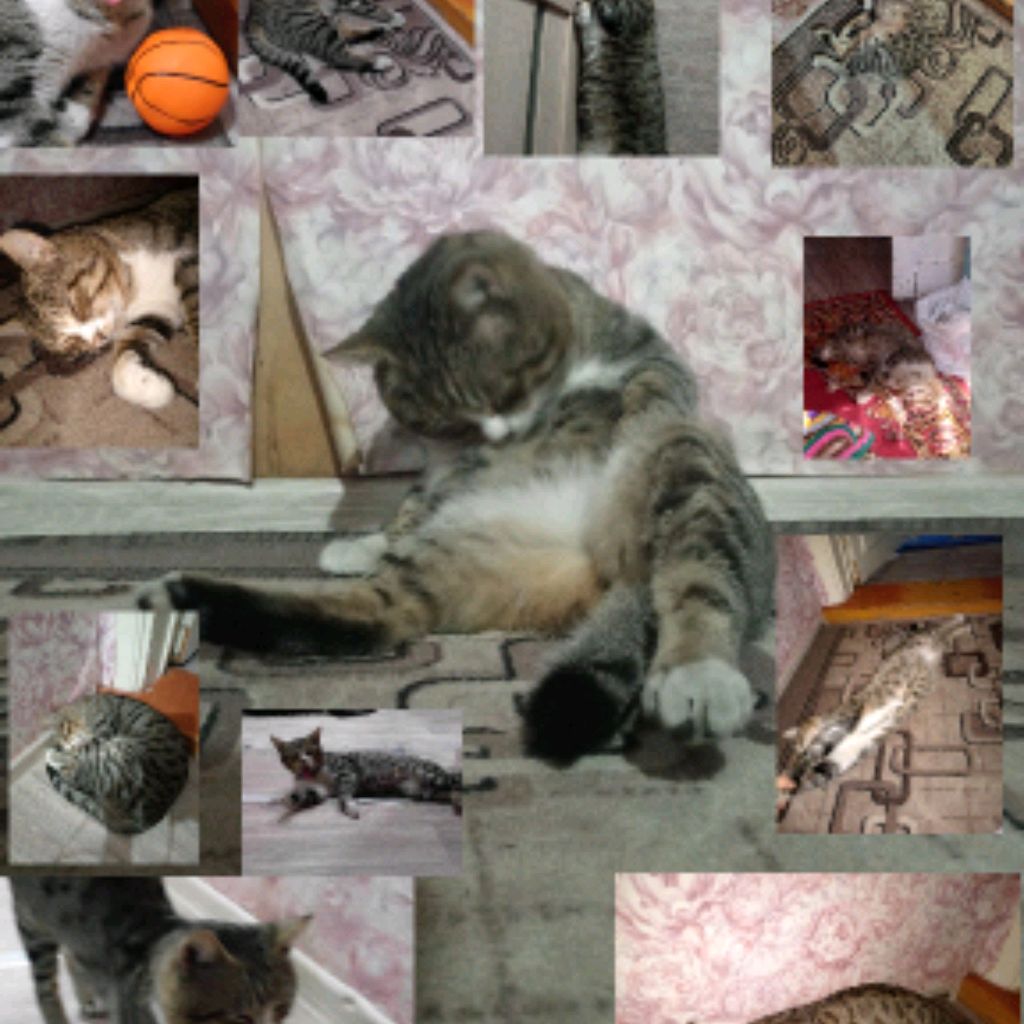 Аватар автора