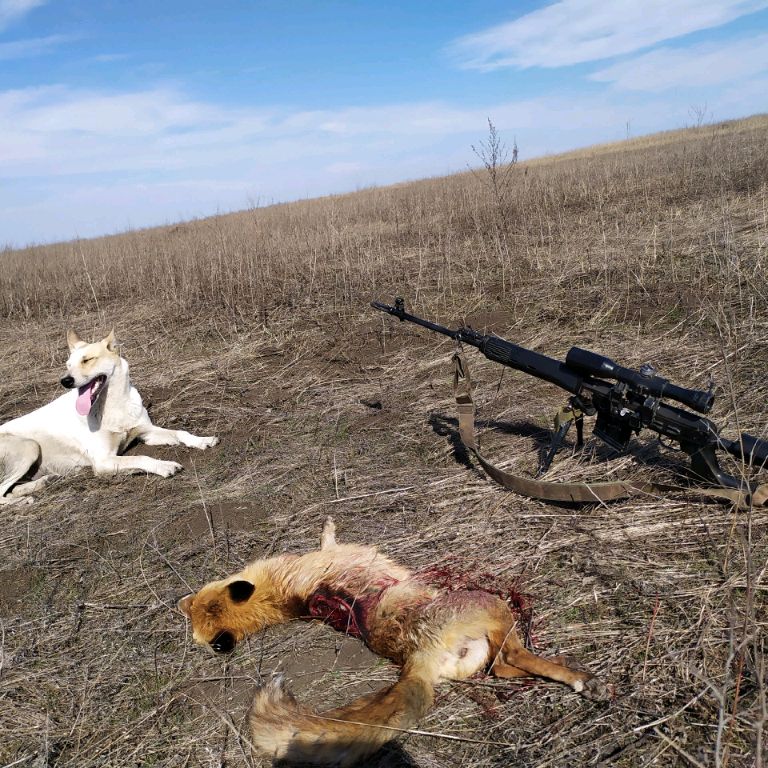 Иконка канала Удачный денёк