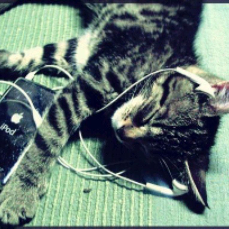 Иконка канала dinna