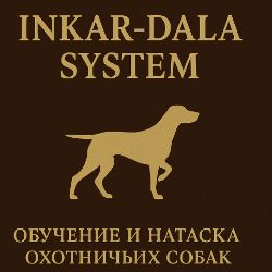 Иконка канала Inkar-Dala System
