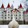 Иконка канала Царь Гусь