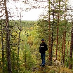 Аватар автора