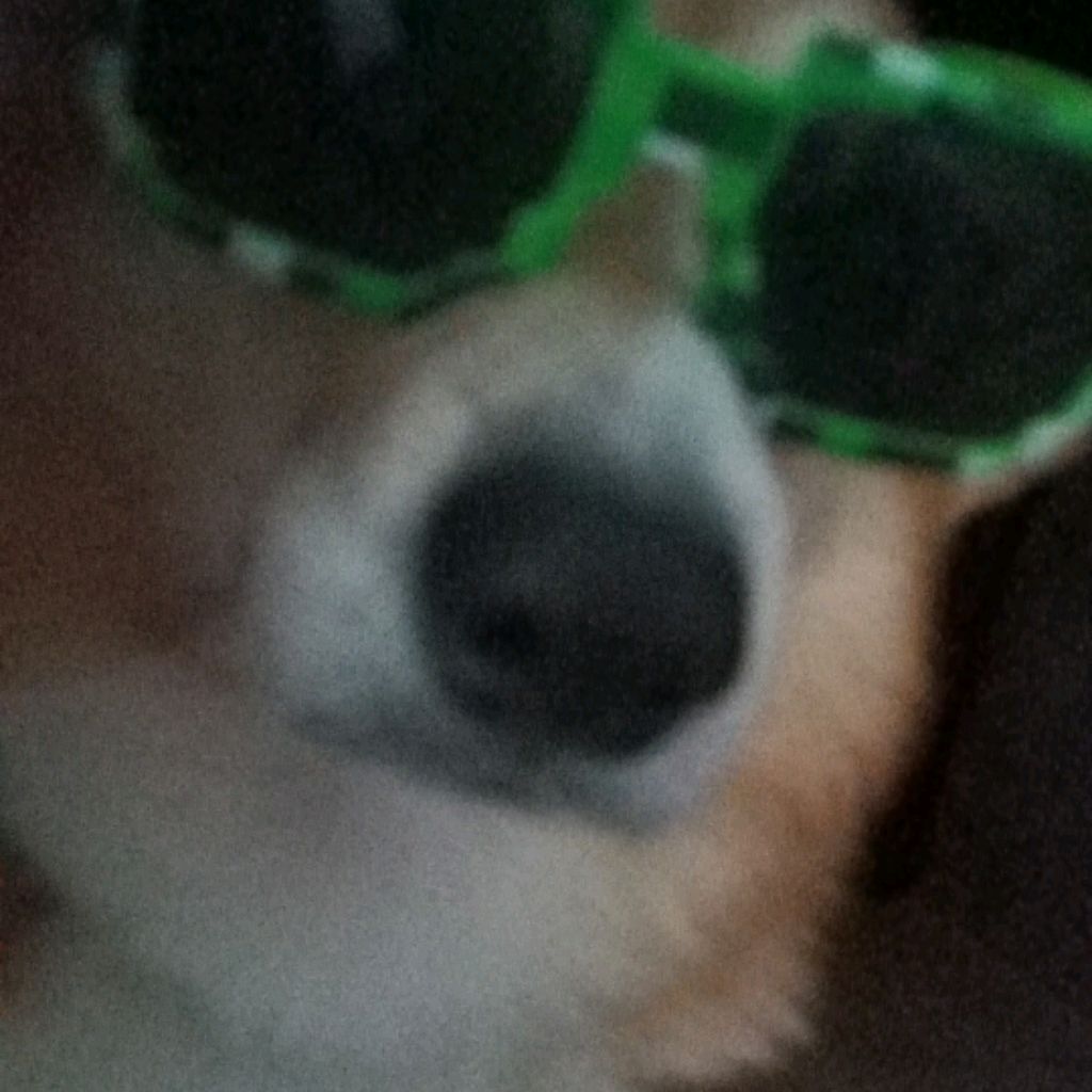 Иконка канала Тузик 3.0.