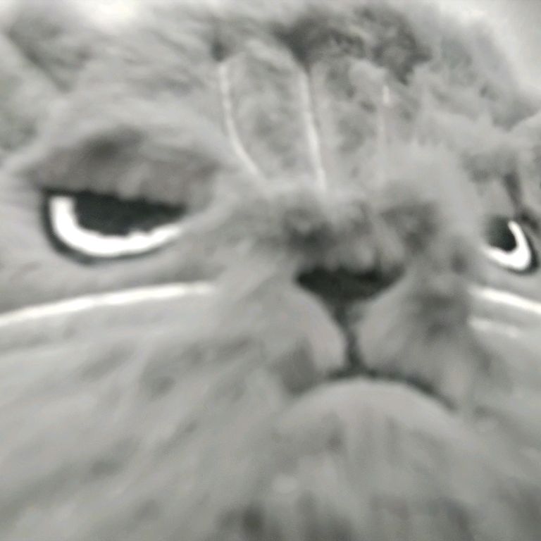 Иконка канала Игорь