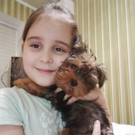 Аватар автора