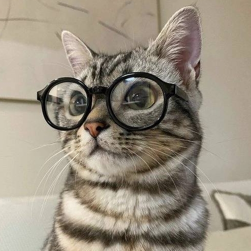 Иконка канала Кристи♥️