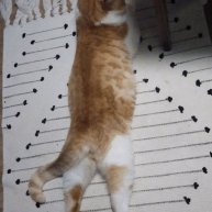 Иконка канала Трошкин