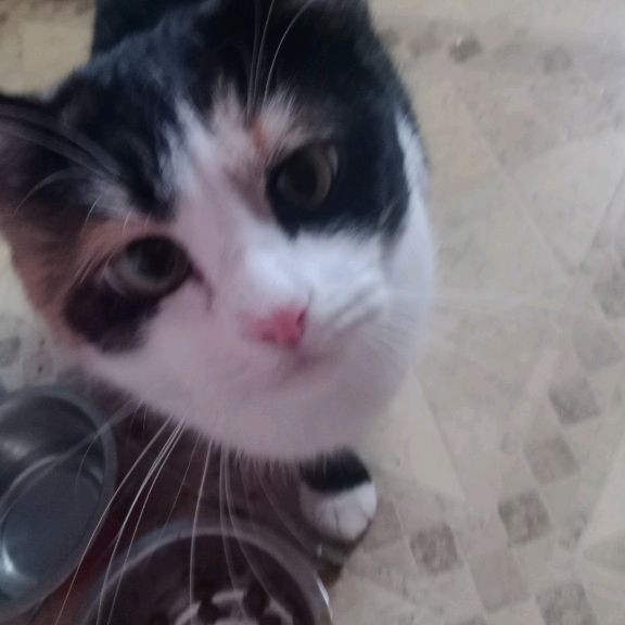 Иконка канала Серго Рамос