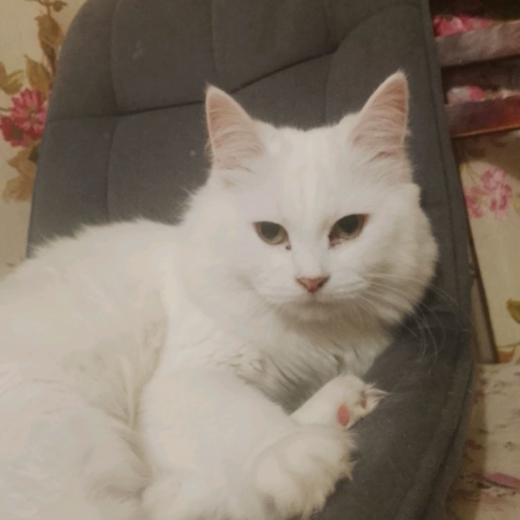 Иконка канала Ростик Лёха