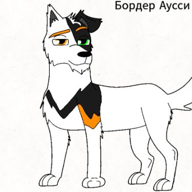 Иконка канала Моя история о животных.