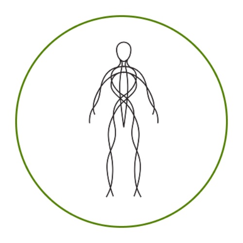 Иконка канала Школа естественного движения