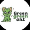 Иконка канала Английский для детей с Дашей | Green Green Cat