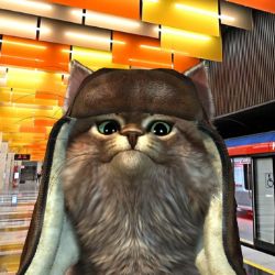 Аватар автора