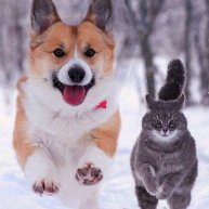 Иконка канала Дарина Блог 💜☑️