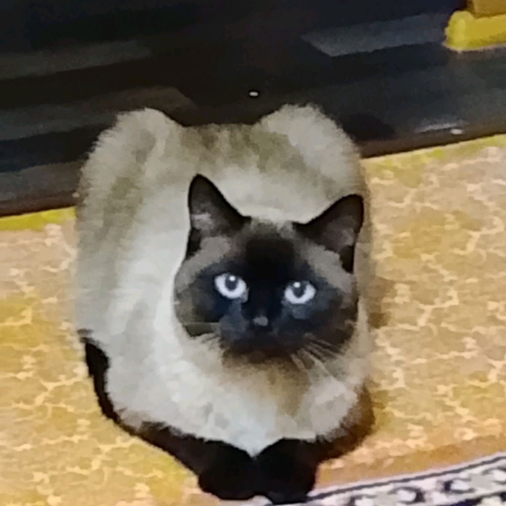 Аватар автора