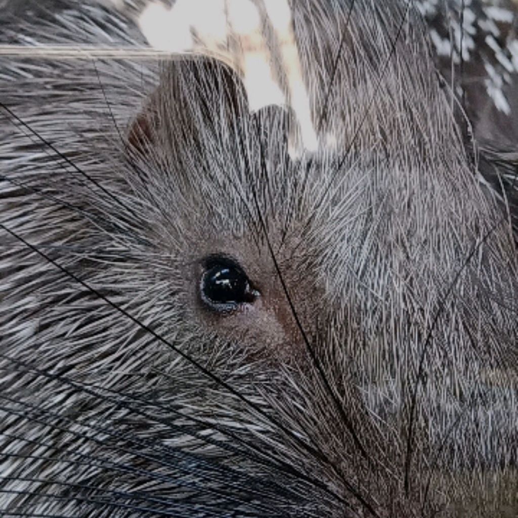 Иконка канала АРСЕНИЙ