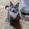 Иконка канала Развлечения И Не Только