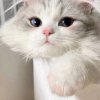 Иконка канала Ясик 🎀✨
