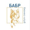 Иконка канала БИЗНЕС-КЛУБ "БАБР"