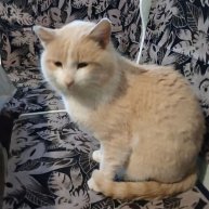 Иконка канала Daniil Strimer/@18