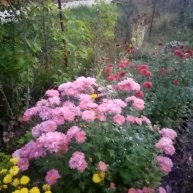 Иконка канала Марина75