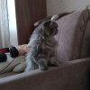 Иконка канала Творни²⁰²⁶