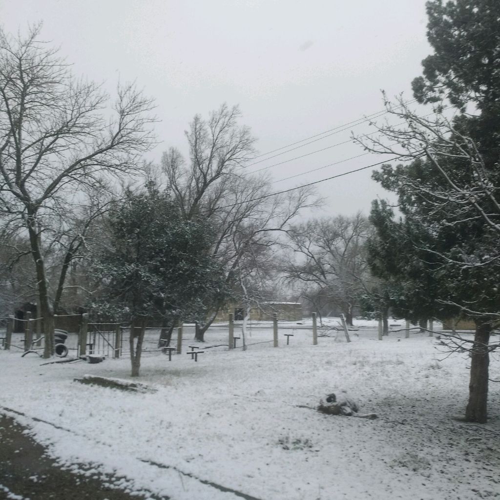 Иконка канала ДАГ