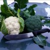 Иконка канала Agroblog.Marina-agronom1990