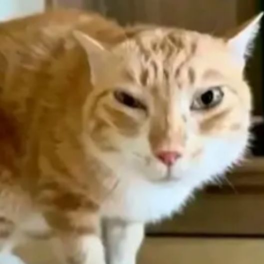 Иконка канала SpyaschiyBuisnessman3