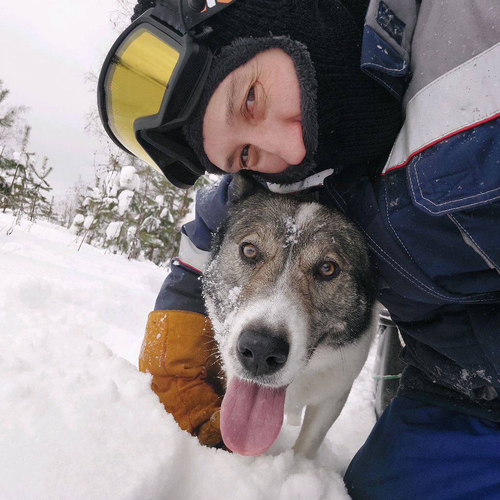 Аватар автора