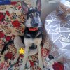 Иконка канала Нора Уматная 🐕ВЕО💗