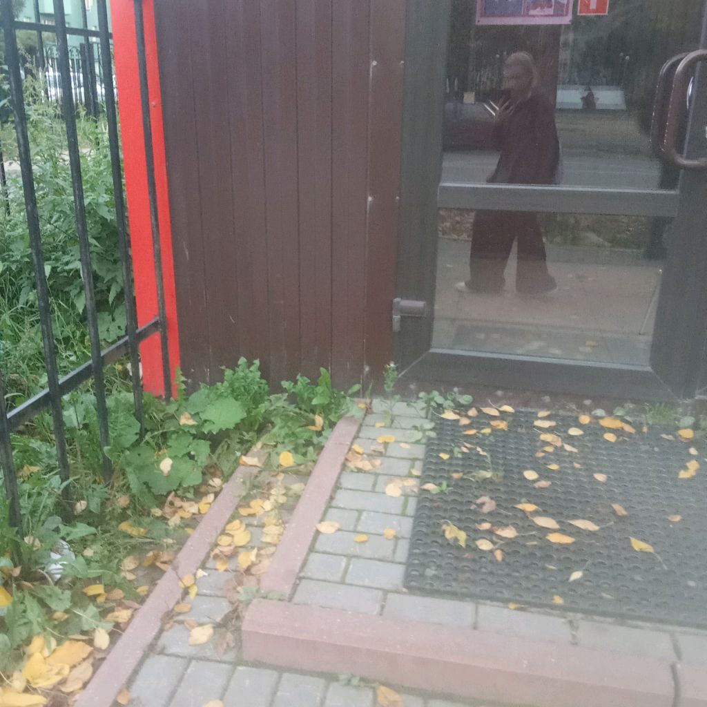 Аватар автора