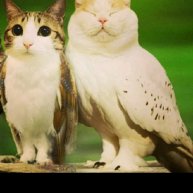 Иконка канала Salvator_l