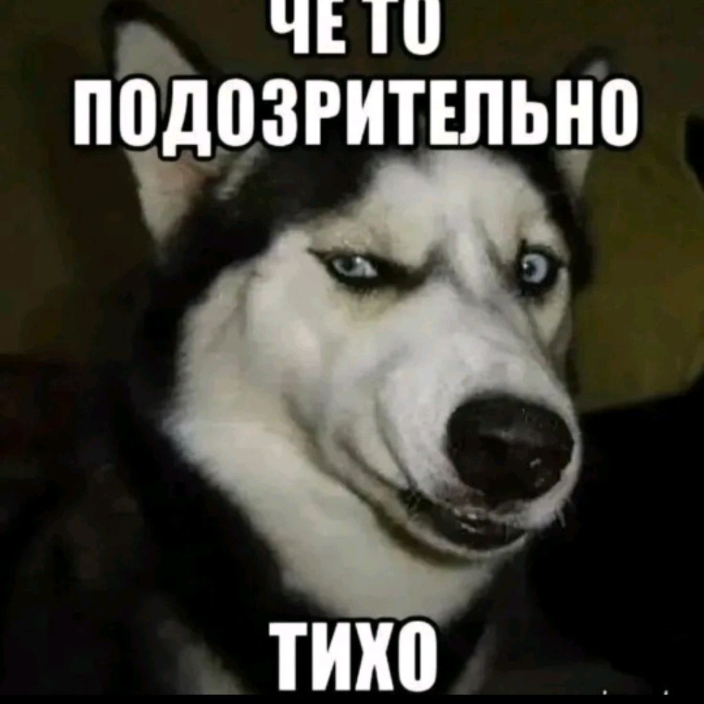 Эй я же твой брат мне совсем не обязательно сосать за поездку Эй я же твой брат мне совсем не обязательно сосать за поездку