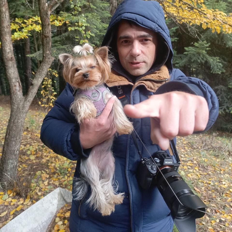 Аватар автора