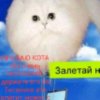 Иконка канала channel41930407