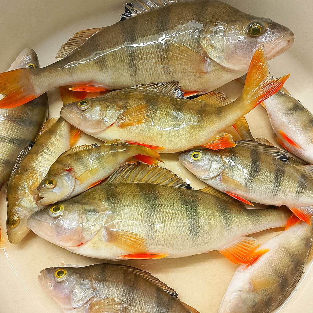 Иконка канала Человек Костромы