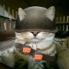 Иконка канала TF Cat