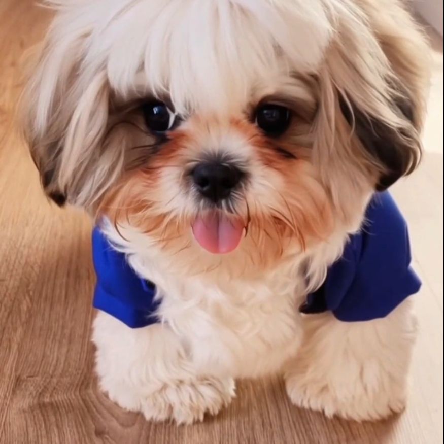 Кузя вредный принц!