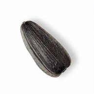 Иконка канала MR Семечка