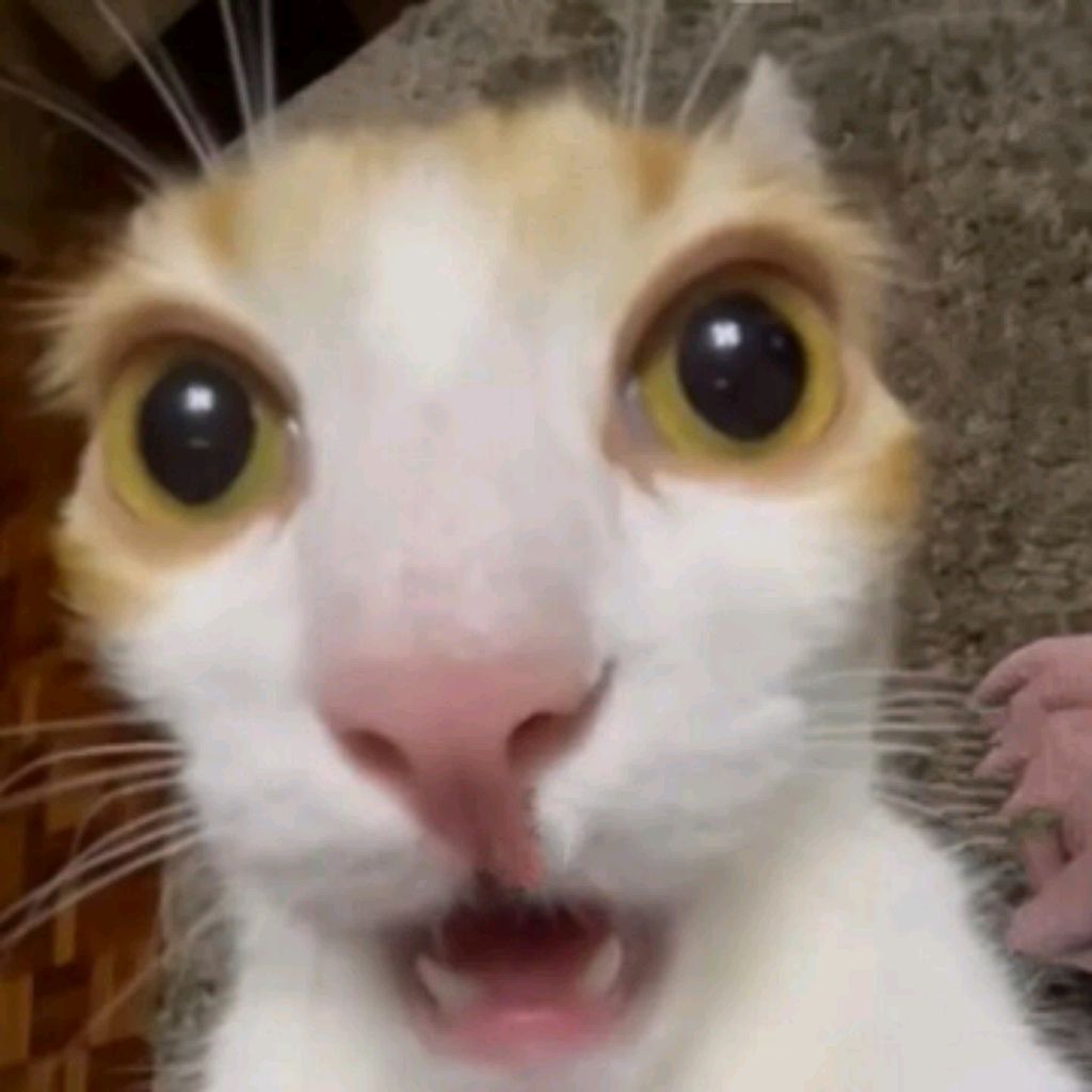 Иконка канала Инневес