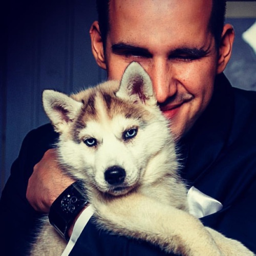 Аватар автора