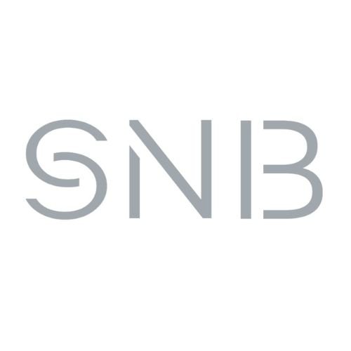 Иконка канала SNB_expert