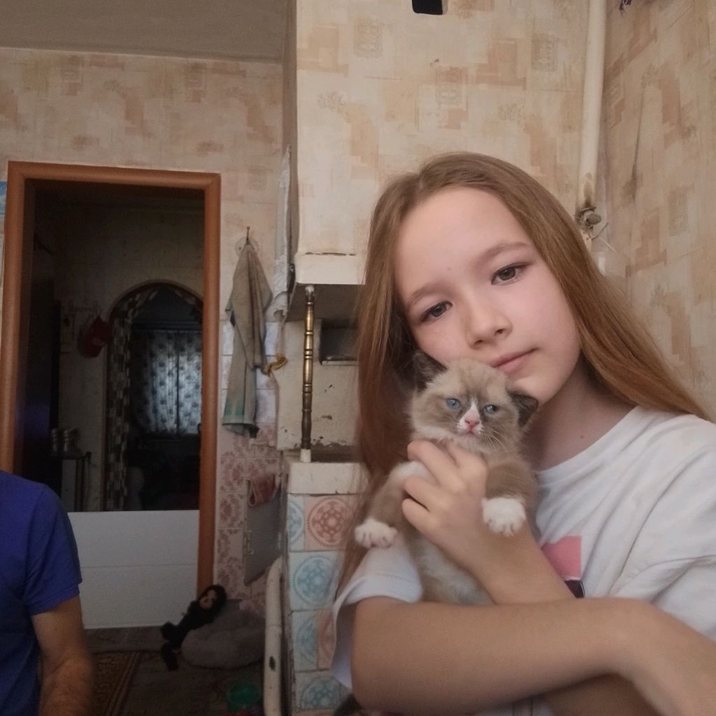 Аватар автора